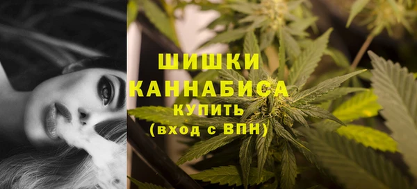 прущие крисы Дмитров