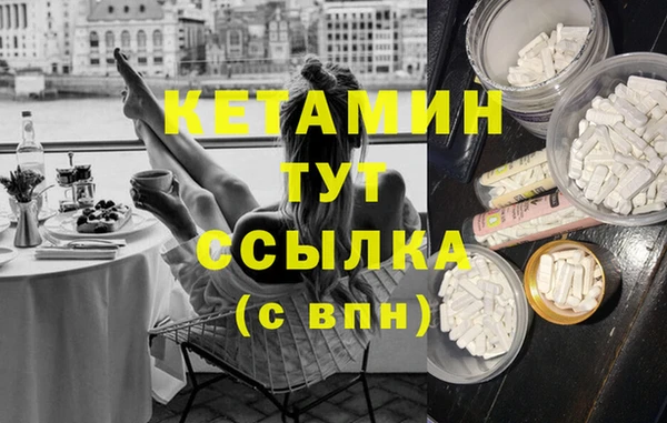PSILOCYBIN Ельня